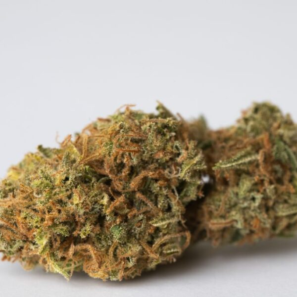 Lemon Haze - Indoor