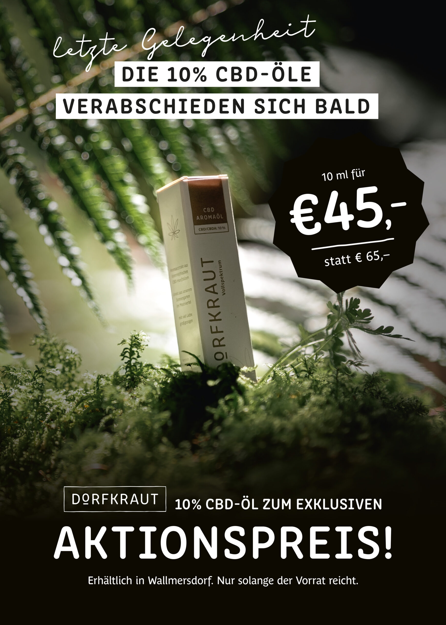 dorfkraut_neuesoel_poster_herbst2023_JPG