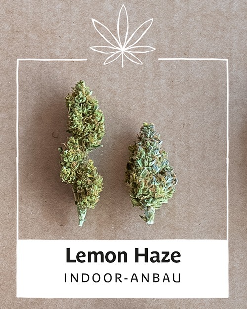 Lemonhaze