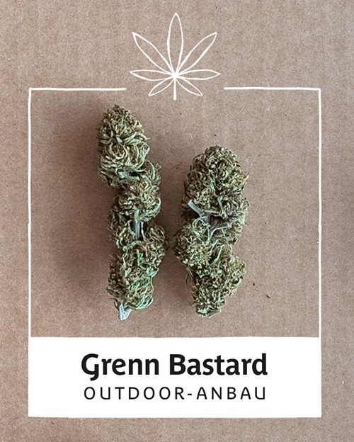 greenbastard